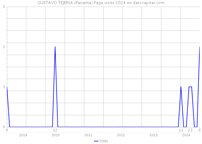 GUSTAVO TEJERIA (Panama) Page visits 2024 