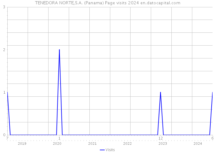 TENEDORA NORTE,S.A. (Panama) Page visits 2024 