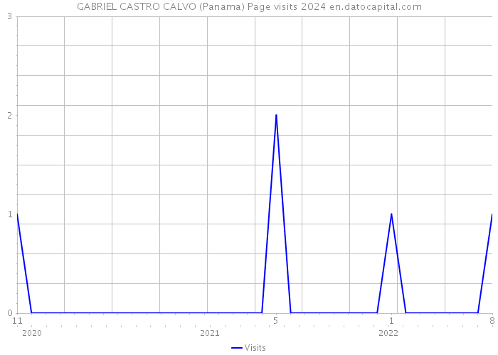 GABRIEL CASTRO CALVO (Panama) Page visits 2024 