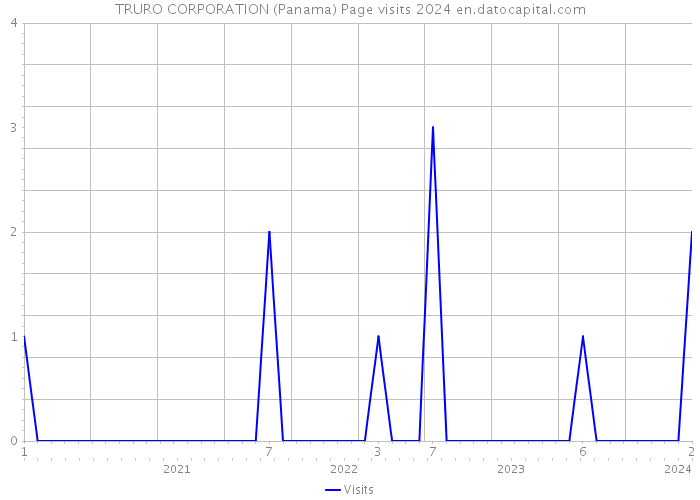 TRURO CORPORATION (Panama) Page visits 2024 