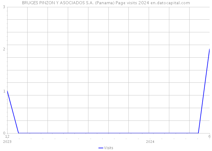 BRUGES PINZON Y ASOCIADOS S.A. (Panama) Page visits 2024 