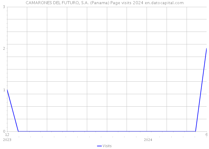 CAMARONES DEL FUTURO, S.A. (Panama) Page visits 2024 