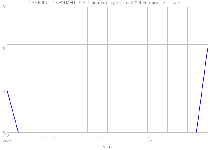 CAMBRIAN INVESTMENT S.A. (Panama) Page visits 2024 