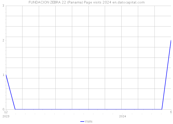 FUNDACION ZEBRA 22 (Panama) Page visits 2024 