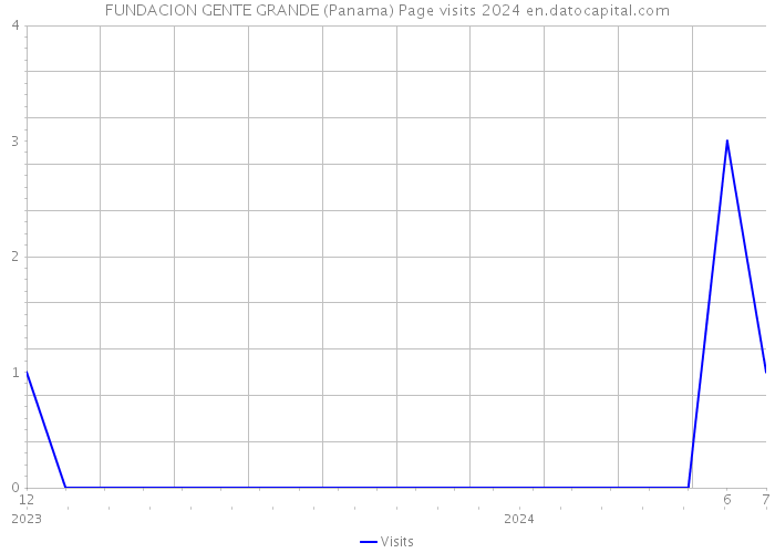 FUNDACION GENTE GRANDE (Panama) Page visits 2024 