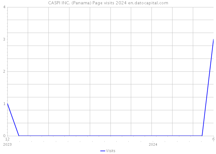 CASPI INC. (Panama) Page visits 2024 
