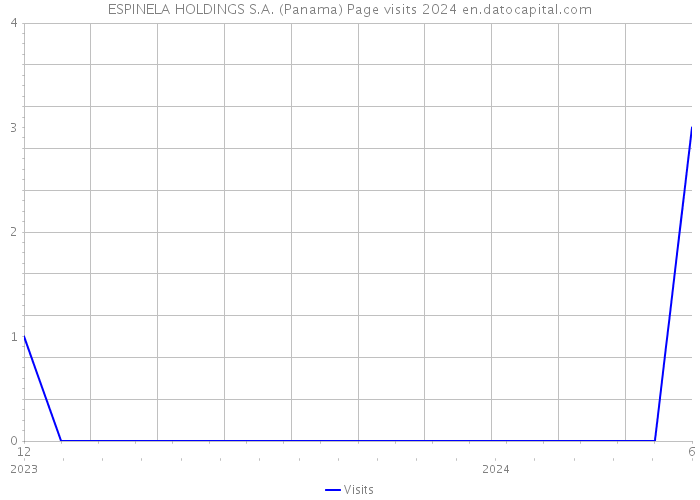 ESPINELA HOLDINGS S.A. (Panama) Page visits 2024 