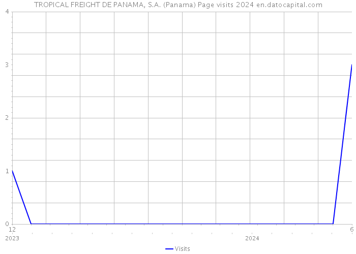 TROPICAL FREIGHT DE PANAMA, S.A. (Panama) Page visits 2024 