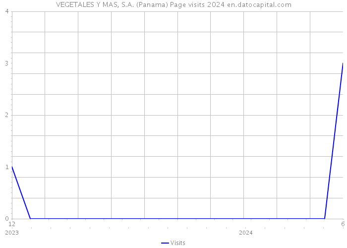 VEGETALES Y MAS, S.A. (Panama) Page visits 2024 