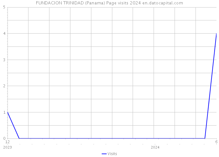 FUNDACION TRINIDAD (Panama) Page visits 2024 