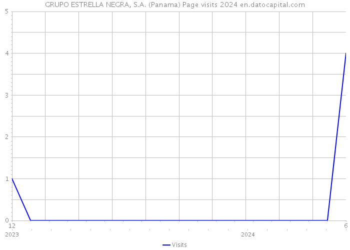 GRUPO ESTRELLA NEGRA, S.A. (Panama) Page visits 2024 