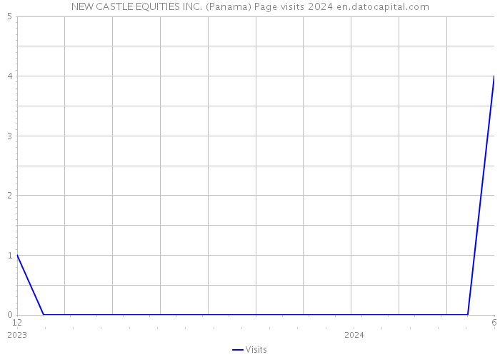 NEW CASTLE EQUITIES INC. (Panama) Page visits 2024 