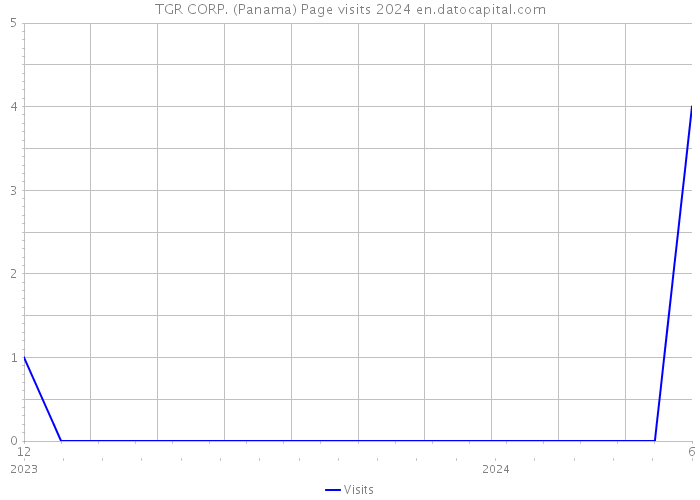 TGR CORP. (Panama) Page visits 2024 