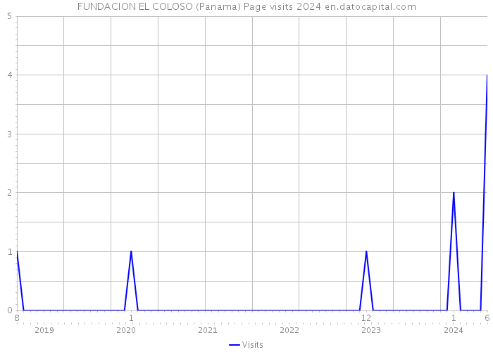 FUNDACION EL COLOSO (Panama) Page visits 2024 