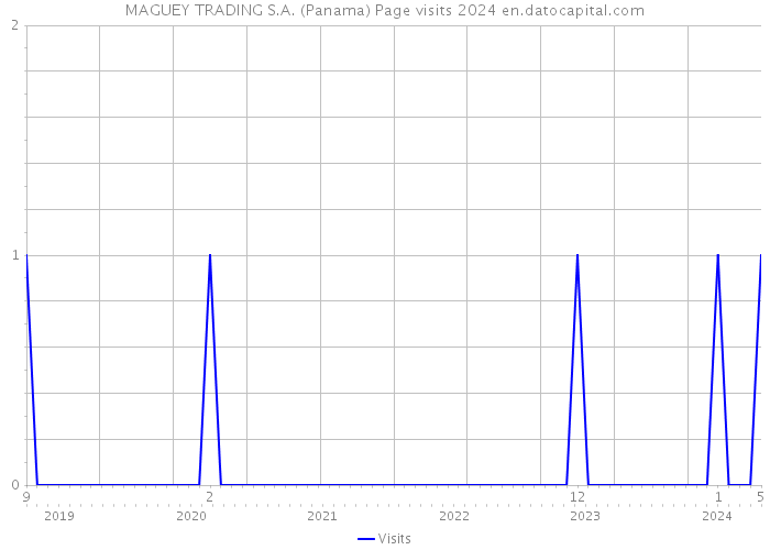 MAGUEY TRADING S.A. (Panama) Page visits 2024 