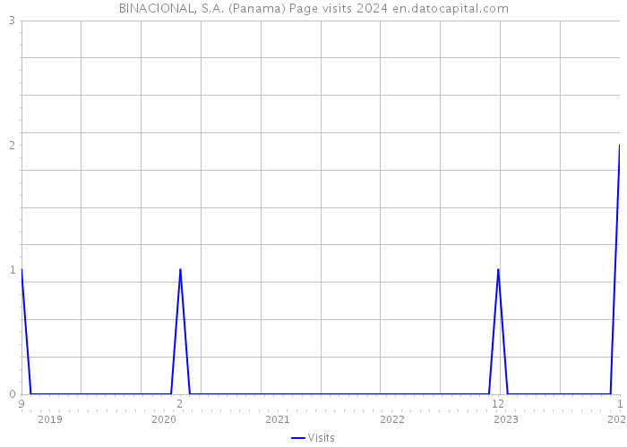 BINACIONAL, S.A. (Panama) Page visits 2024 