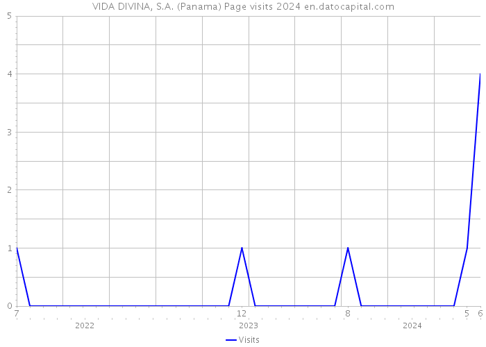 VIDA DIVINA, S.A. (Panama) Page visits 2024 