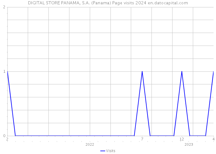DIGITAL STORE PANAMA, S.A. (Panama) Page visits 2024 