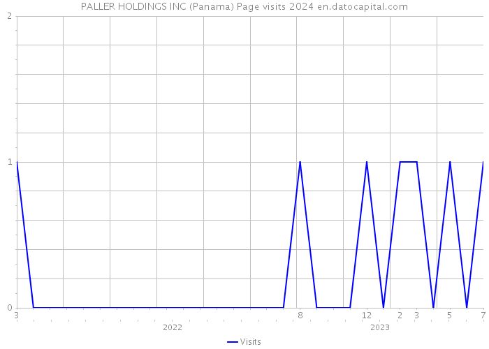 PALLER HOLDINGS INC (Panama) Page visits 2024 