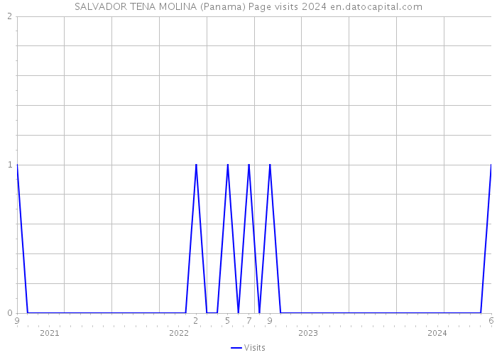 SALVADOR TENA MOLINA (Panama) Page visits 2024 