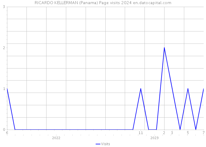 RICARDO KELLERMAN (Panama) Page visits 2024 