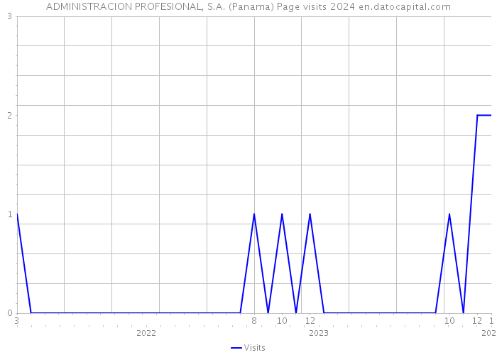 ADMINISTRACION PROFESIONAL, S.A. (Panama) Page visits 2024 