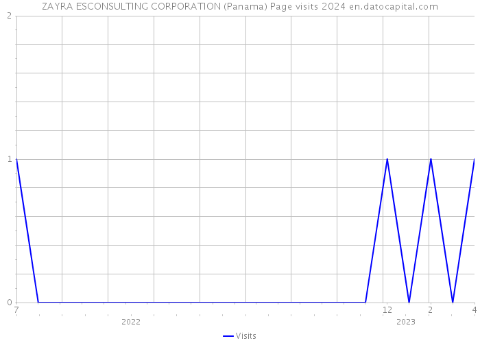 ZAYRA ESCONSULTING CORPORATION (Panama) Page visits 2024 