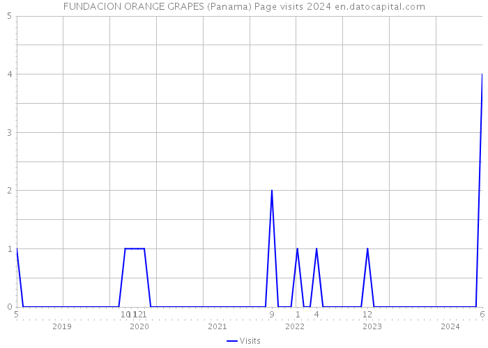 FUNDACION ORANGE GRAPES (Panama) Page visits 2024 