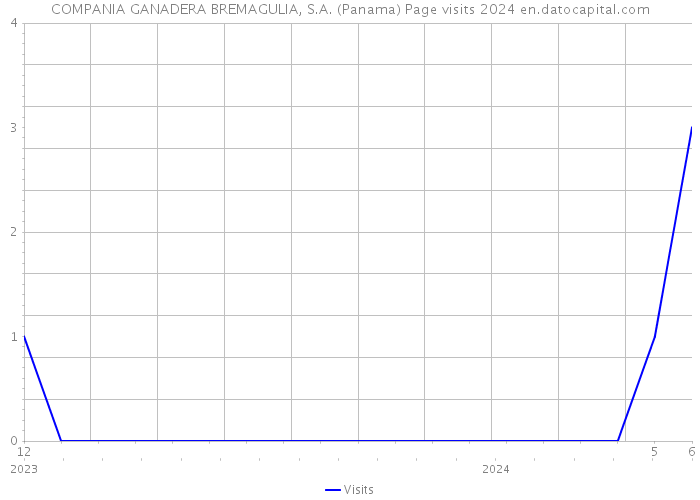 COMPANIA GANADERA BREMAGULIA, S.A. (Panama) Page visits 2024 