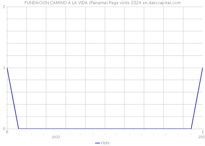FUNDACION CAMINO A LA VIDA (Panama) Page visits 2024 