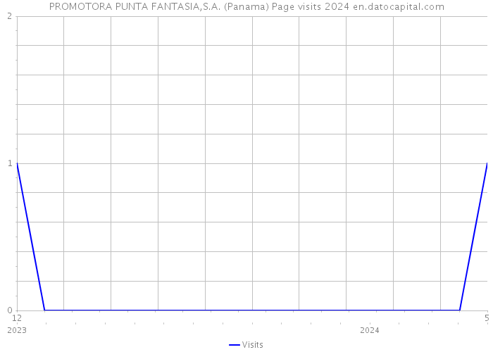 PROMOTORA PUNTA FANTASIA,S.A. (Panama) Page visits 2024 
