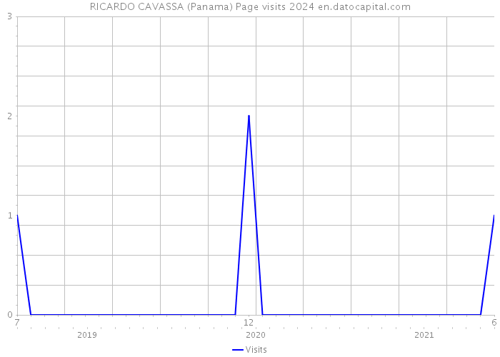 RICARDO CAVASSA (Panama) Page visits 2024 