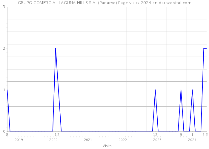 GRUPO COMERCIAL LAGUNA HILLS S.A. (Panama) Page visits 2024 