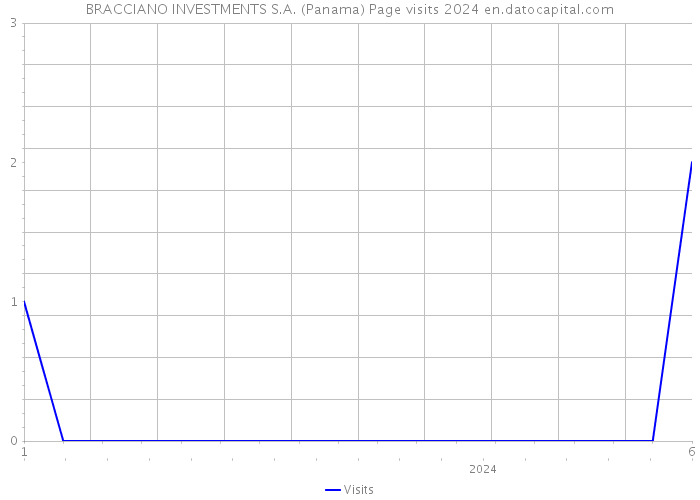 BRACCIANO INVESTMENTS S.A. (Panama) Page visits 2024 