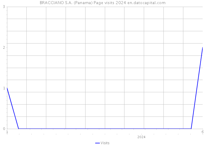 BRACCIANO S.A. (Panama) Page visits 2024 