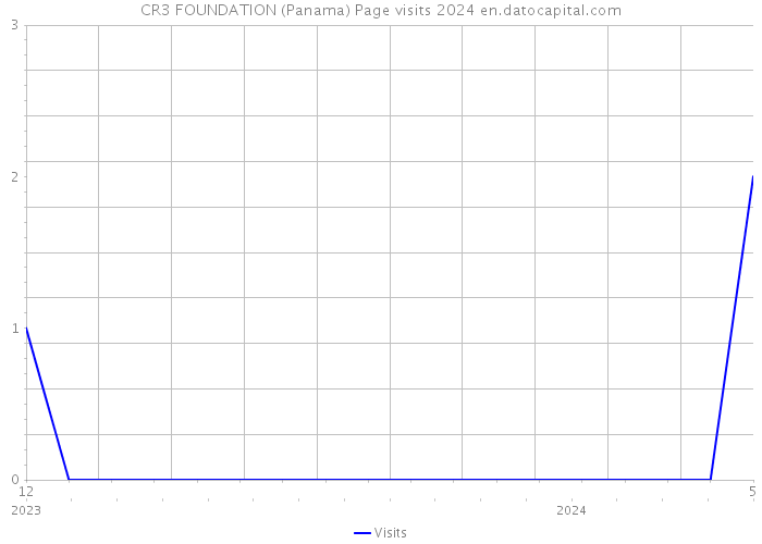 CR3 FOUNDATION (Panama) Page visits 2024 
