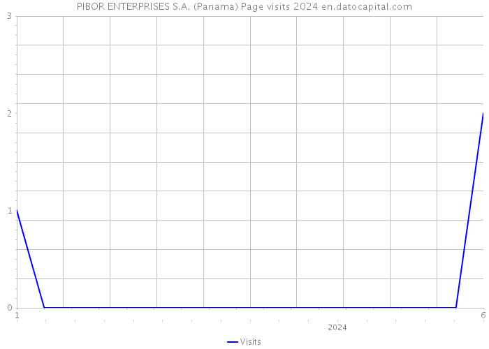PIBOR ENTERPRISES S.A. (Panama) Page visits 2024 