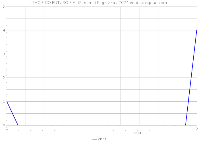 PACIFICO FUTURO S.A. (Panama) Page visits 2024 