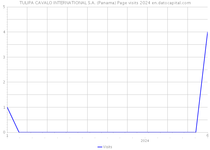 TULIPA CAVALO INTERNATIONAL S.A. (Panama) Page visits 2024 