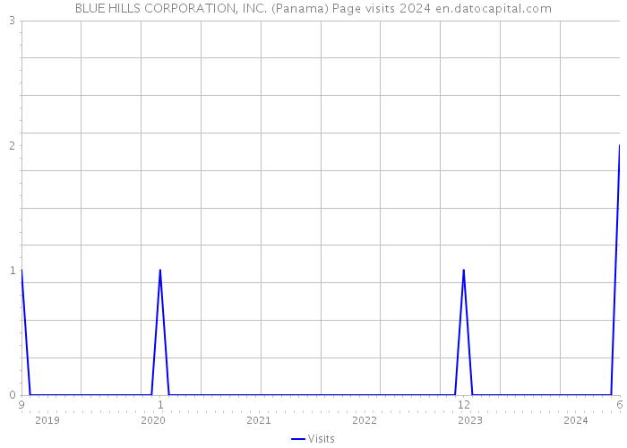 BLUE HILLS CORPORATION, INC. (Panama) Page visits 2024 