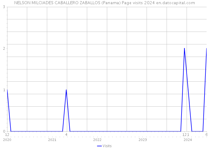 NELSON MILCIADES CABALLERO ZABALLOS (Panama) Page visits 2024 