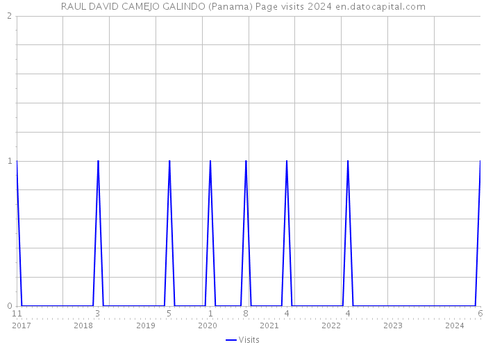 RAUL DAVID CAMEJO GALINDO (Panama) Page visits 2024 