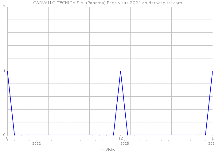 CARVALLO TECNICA S.A. (Panama) Page visits 2024 