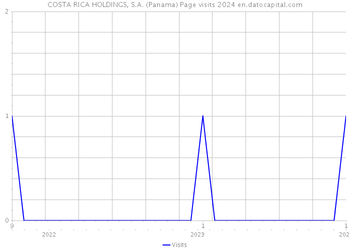 COSTA RICA HOLDINGS, S.A. (Panama) Page visits 2024 