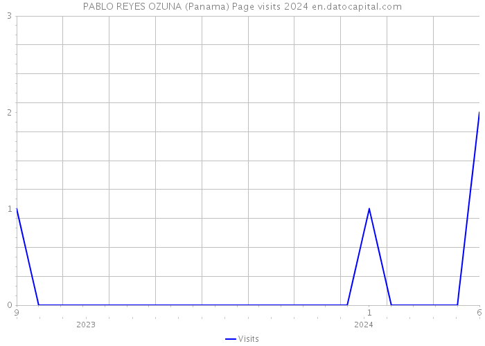 PABLO REYES OZUNA (Panama) Page visits 2024 