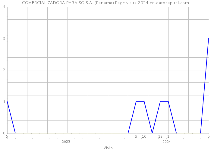 COMERCIALIZADORA PARAISO S.A. (Panama) Page visits 2024 
