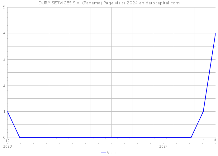 DURY SERVICES S.A. (Panama) Page visits 2024 