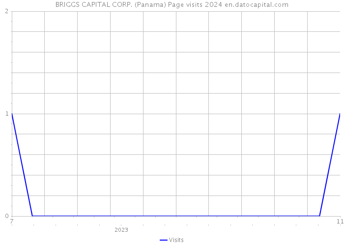 BRIGGS CAPITAL CORP. (Panama) Page visits 2024 