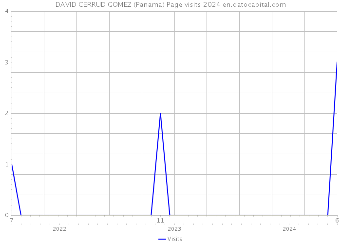 DAVID CERRUD GOMEZ (Panama) Page visits 2024 