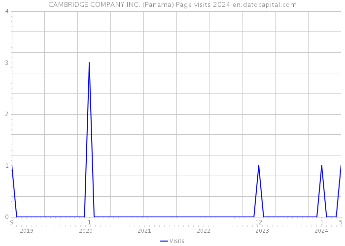 CAMBRIDGE COMPANY INC. (Panama) Page visits 2024 